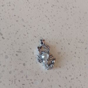 Scorpion Necklace Pendant